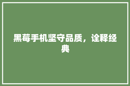 黑莓手机坚守品质，诠释经典