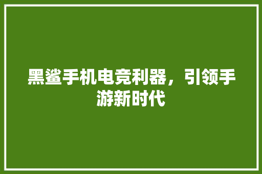 黑鲨手机电竞利器，引领手游新时代