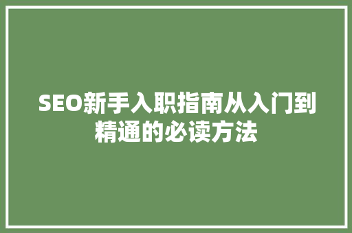 SEO新手入职指南从入门到精通的必读方法