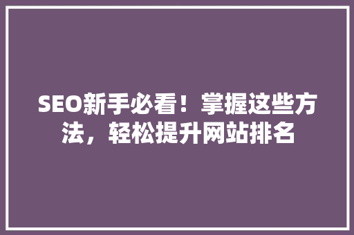 SEO新手必看！掌握这些方法，轻松提升网站排名