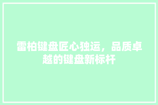 雷柏键盘匠心独运，品质卓越的键盘新标杆