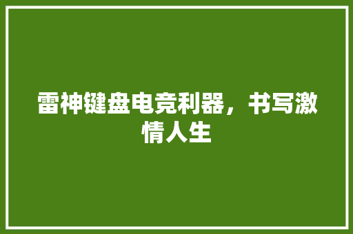 雷神键盘电竞利器，书写激情人生