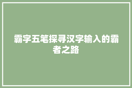 霸字五笔探寻汉字输入的霸者之路