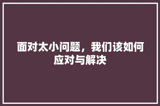 面对太小问题，我们该如何应对与解决