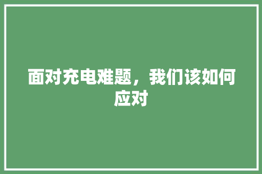 面对充电难题，我们该如何应对