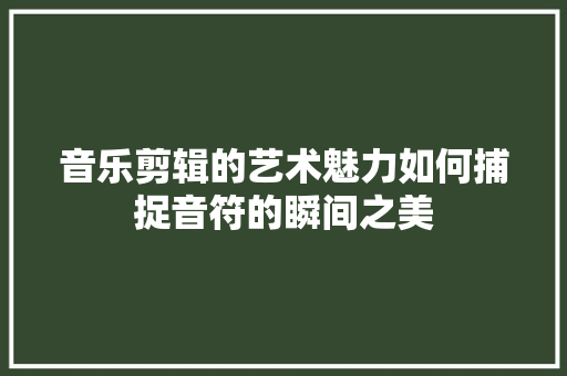 音乐剪辑的艺术魅力如何捕捉音符的瞬间之美