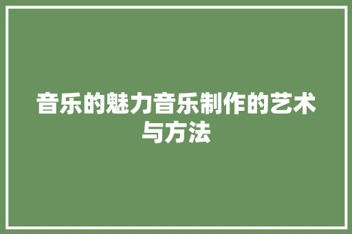 音乐的魅力音乐制作的艺术与方法