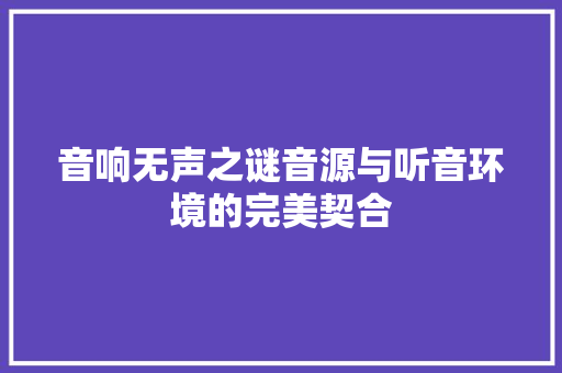 音响无声之谜音源与听音环境的完美契合