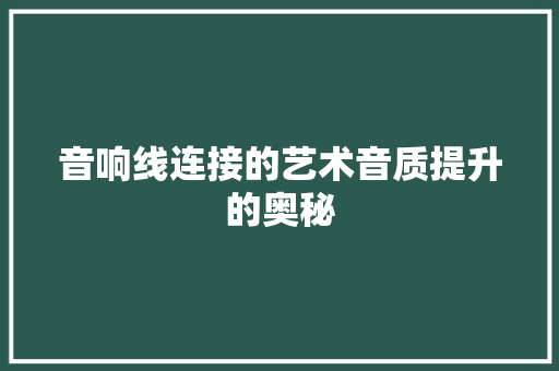 音响线连接的艺术音质提升的奥秘