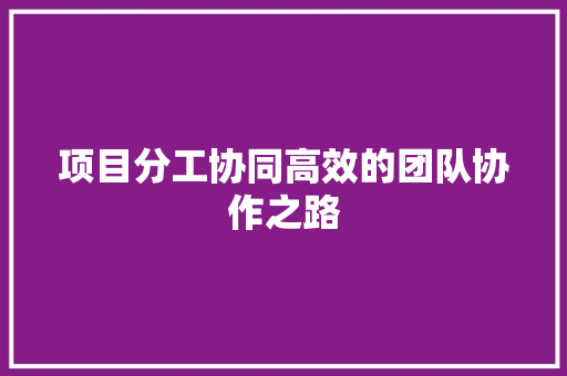 项目分工协同高效的团队协作之路