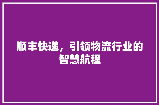 顺丰快递，引领物流行业的智慧航程