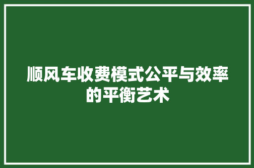 顺风车收费模式公平与效率的平衡艺术