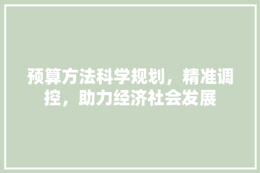 预算方法科学规划，精准调控，助力经济社会发展