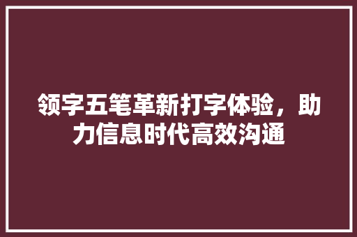 领字五笔革新打字体验，助力信息时代高效沟通