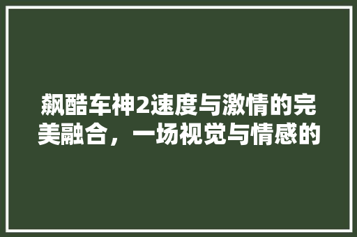 飙酷车神2速度与激情的完美融合，一场视觉与情感的盛宴