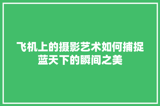 飞机上的摄影艺术如何捕捉蓝天下的瞬间之美