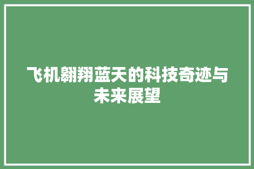 飞机翱翔蓝天的科技奇迹与未来展望