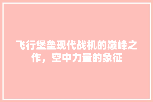 飞行堡垒现代战机的巅峰之作，空中力量的象征