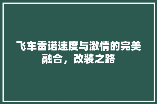 飞车雷诺速度与激情的完美融合，改装之路