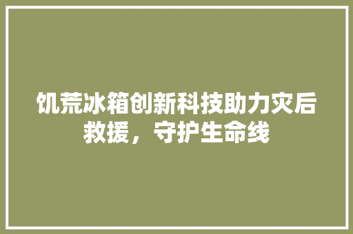 饥荒冰箱创新科技助力灾后救援，守护生命线