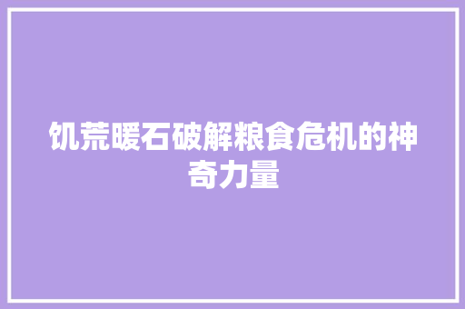 饥荒暖石破解粮食危机的神奇力量