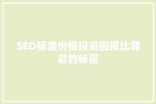 SEO标准价格投资回报比背后的秘密