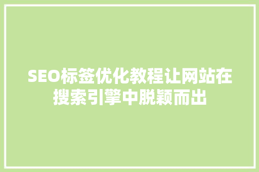 SEO标签优化教程让网站在搜索引擎中脱颖而出