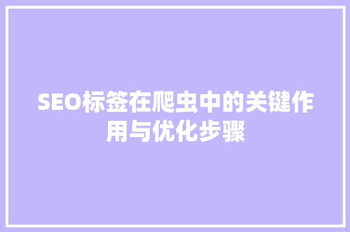 SEO标签在爬虫中的关键作用与优化步骤