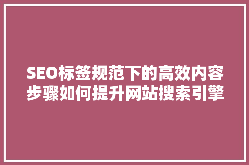 SEO标签规范下的高效内容步骤如何提升网站搜索引擎排名