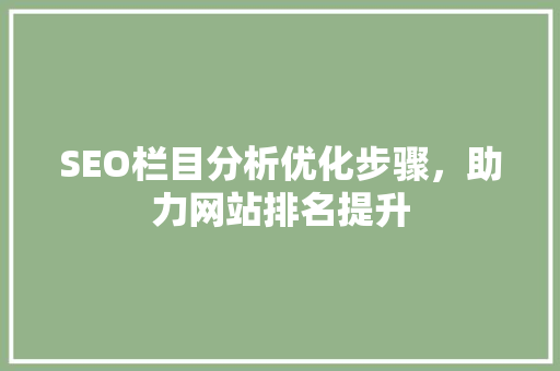 SEO栏目分析优化步骤，助力网站排名提升