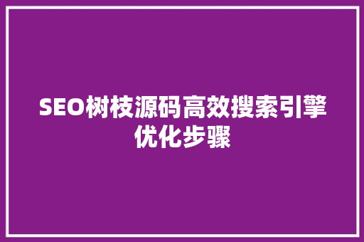 SEO树枝源码高效搜索引擎优化步骤