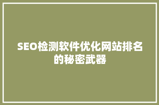 SEO检测软件优化网站排名的秘密武器