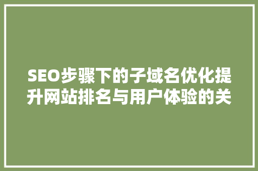 SEO步骤下的子域名优化提升网站排名与用户体验的关键