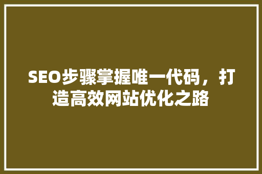 SEO步骤掌握唯一代码，打造高效网站优化之路