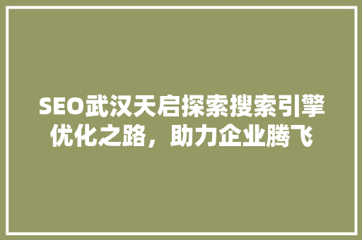 SEO武汉天启探索搜索引擎优化之路，助力企业腾飞