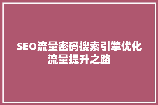 SEO流量密码搜索引擎优化流量提升之路