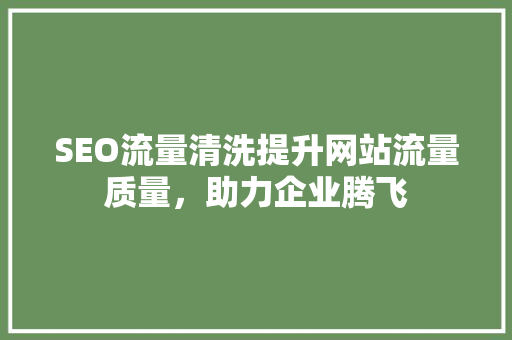 SEO流量清洗提升网站流量质量，助力企业腾飞