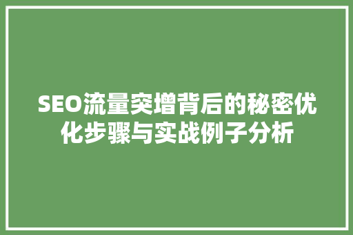 SEO流量突增背后的秘密优化步骤与实战例子分析