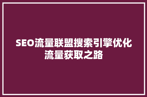 SEO流量联盟搜索引擎优化流量获取之路