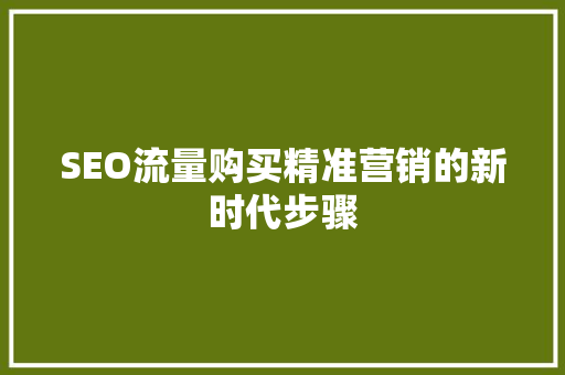 SEO流量购买精准营销的新时代步骤