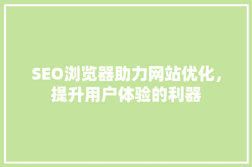 SEO浏览器助力网站优化，提升用户体验的利器