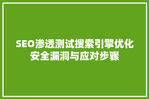 SEO渗透测试搜索引擎优化安全漏洞与应对步骤