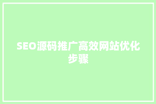 SEO源码推广高效网站优化步骤