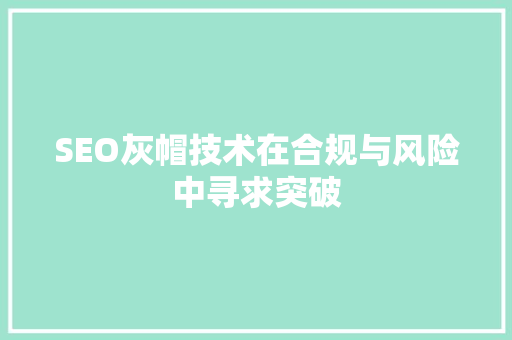 SEO灰帽技术在合规与风险中寻求突破