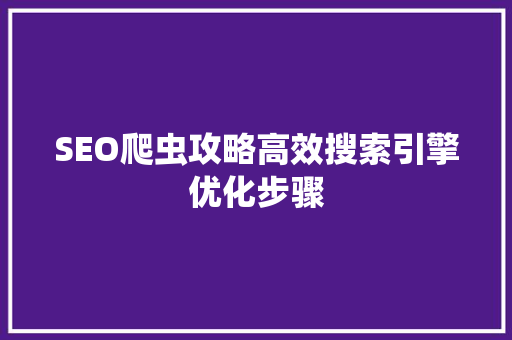 SEO爬虫攻略高效搜索引擎优化步骤