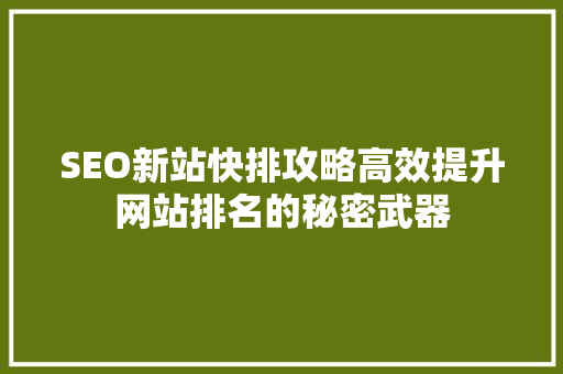 SEO新站快排攻略高效提升网站排名的秘密武器