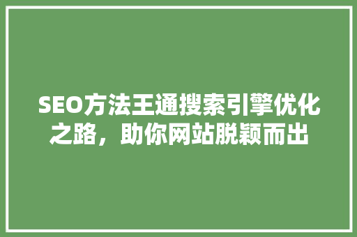 SEO方法王通搜索引擎优化之路，助你网站脱颖而出