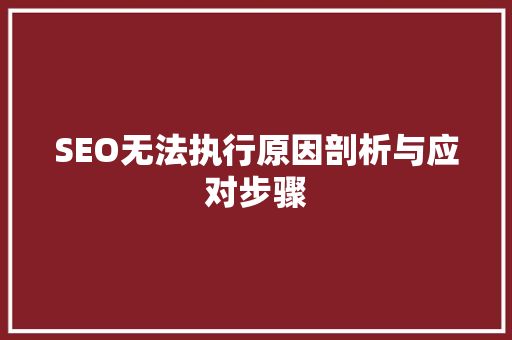 SEO无法执行原因剖析与应对步骤