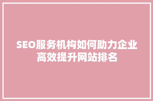 SEO服务机构如何助力企业高效提升网站排名