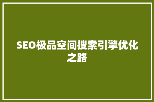 SEO极品空间搜索引擎优化之路